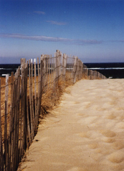 beach path