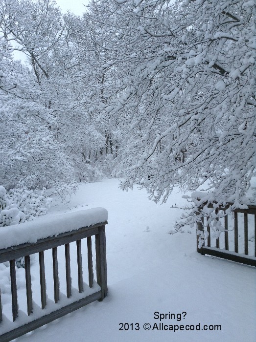 Spring snow storm