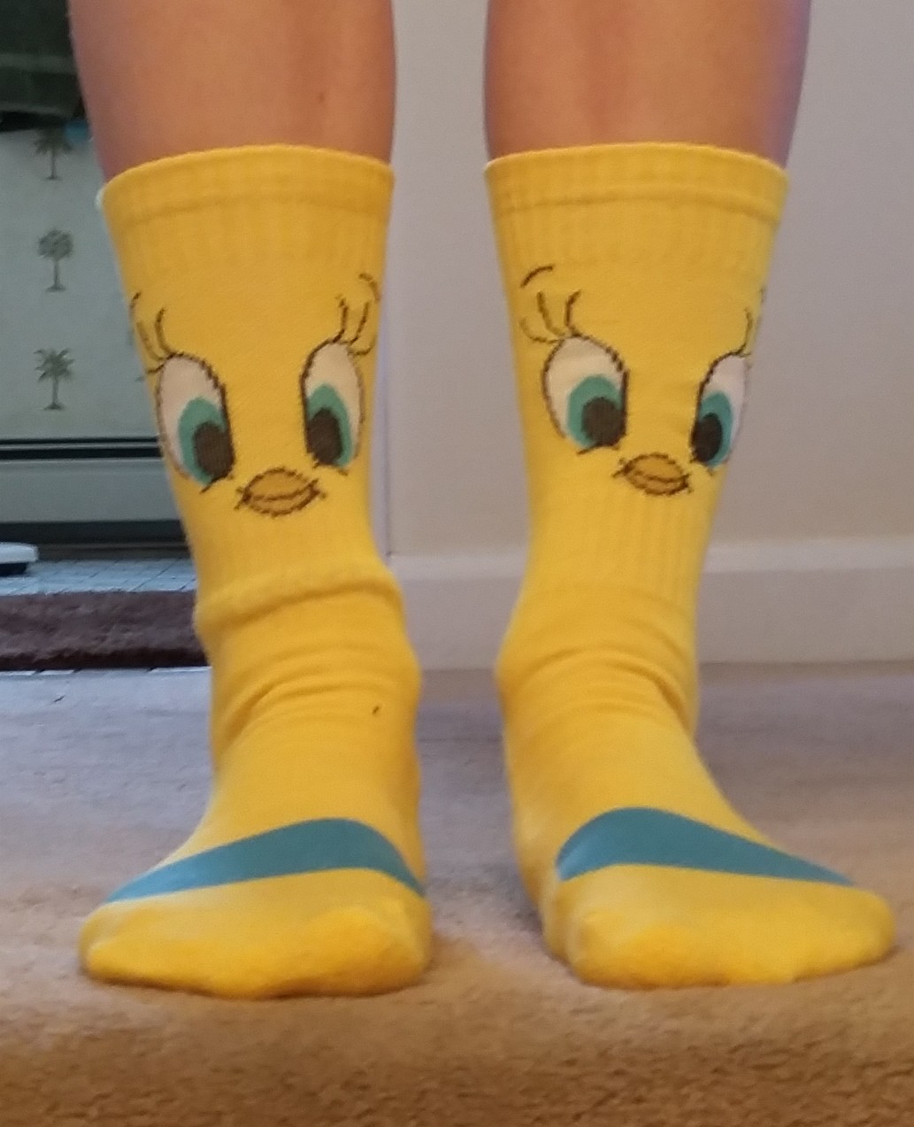 Tweety Sox