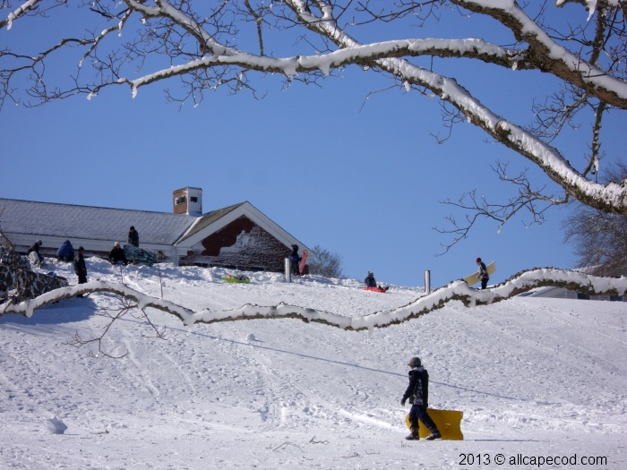 sledding at the courthouse