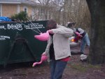 flamingo flocking in the rain