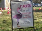 flamingos flock at Barnstable Village private home