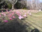 flamingos flock at Barnstable Village private home