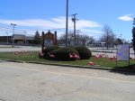 flamingos flock at Hyannis Fire & Rescue