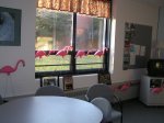 flamingos flock at Barnstable High School