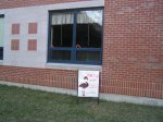 flamingos flock at Barnstable High School